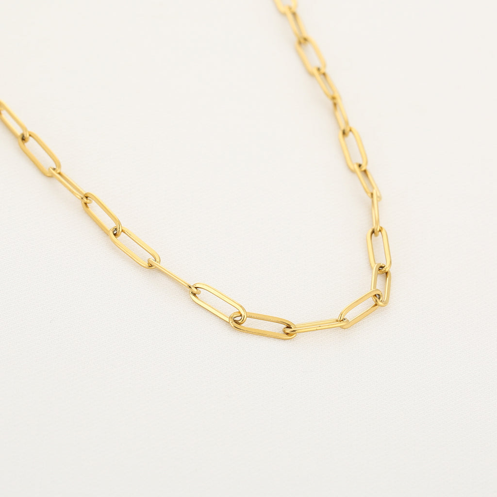 Golden Links Necklace