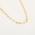Golden Links Necklace
