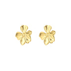 Golden Bloom Earrings